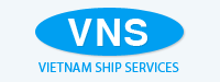 VNS