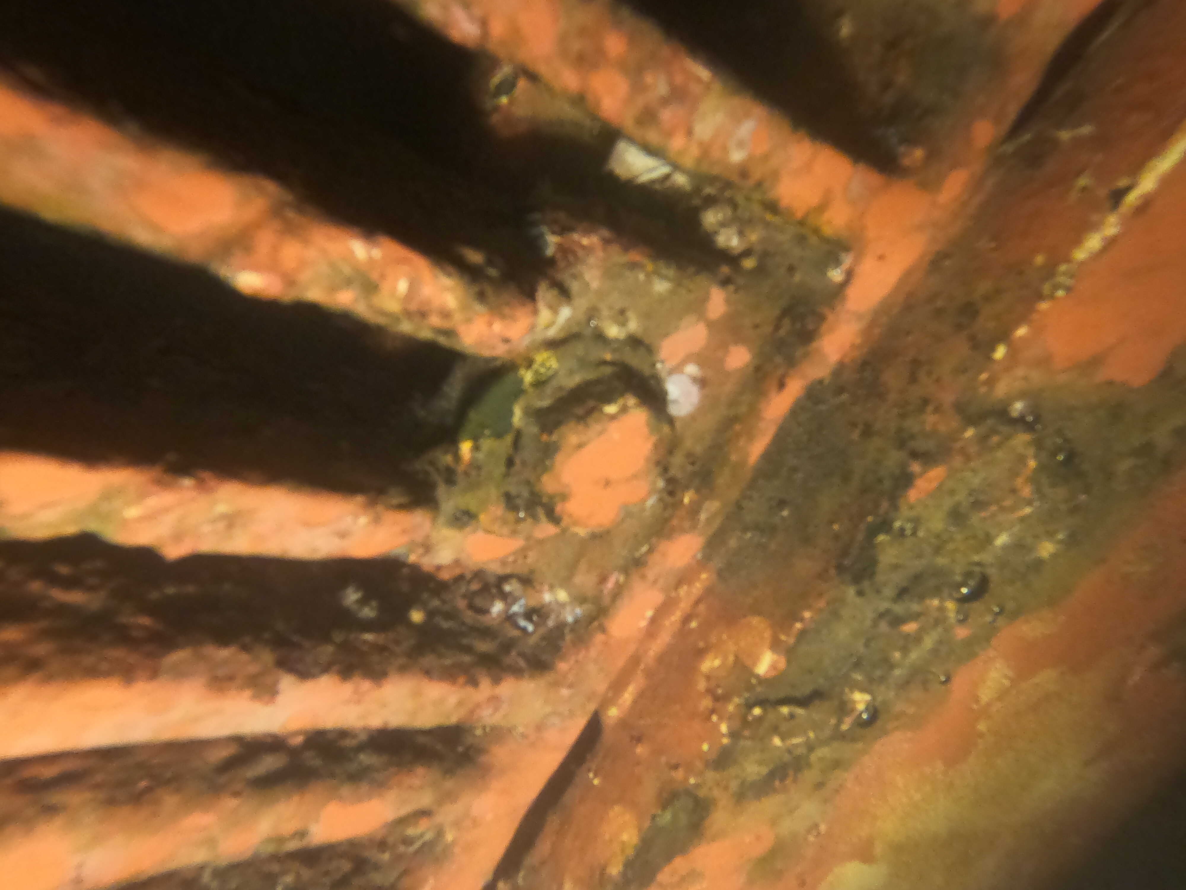 UNDERWATER INSPECTION IN VIETNAM